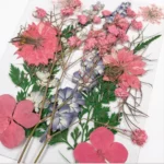 Dry flowers in packet #2