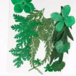 Dry flowers in packet #3