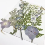 Dry flowers in packet #1