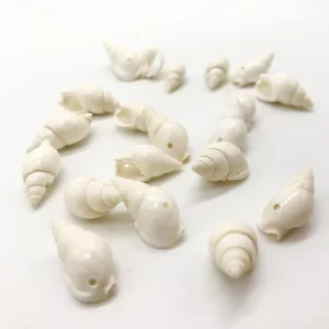Sea shells (sh105)