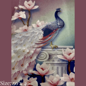 Diamond painting art - white peacock