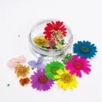 Dry flowers mix 02 neon