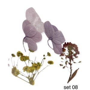 Dry flowers mix - 08
