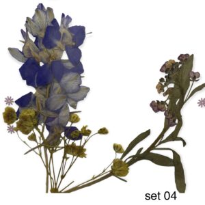 Dry flowers mix - 04