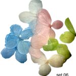 Dry flowers mix - 06