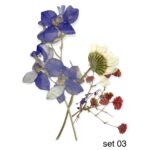 Dry flowers mix - 03