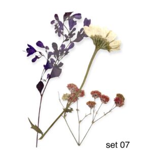 Dry flowers mix - 07