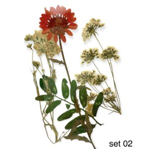 Dry flowers mix - 02