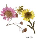 Dry flowers mix - 05