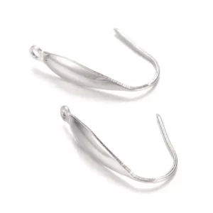 Stainless steel earring hooks
