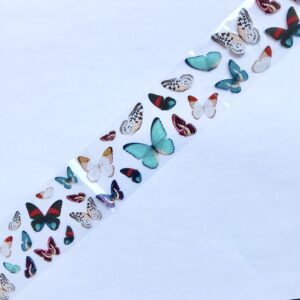 Transfer foil- butterfly fbb81