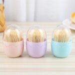 Bamboo Toothpicks 100pcs